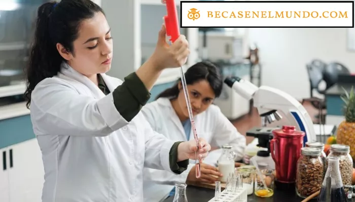 Programa de Créditos Idiomas-Pasantías-Investigación ICETEX