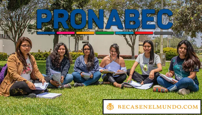 Programa de Becas Continuidad de Estudios Pronabec