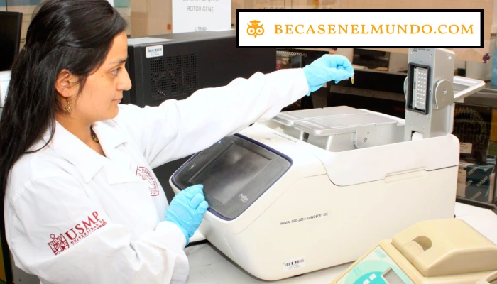 Conoce todo sobre Universidad San Martin de Porres Maestrías en Perú este 2023