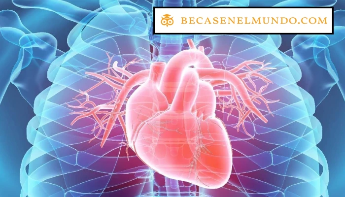El papel de la educación en la prevención de enfermedades cardiovasculares en México