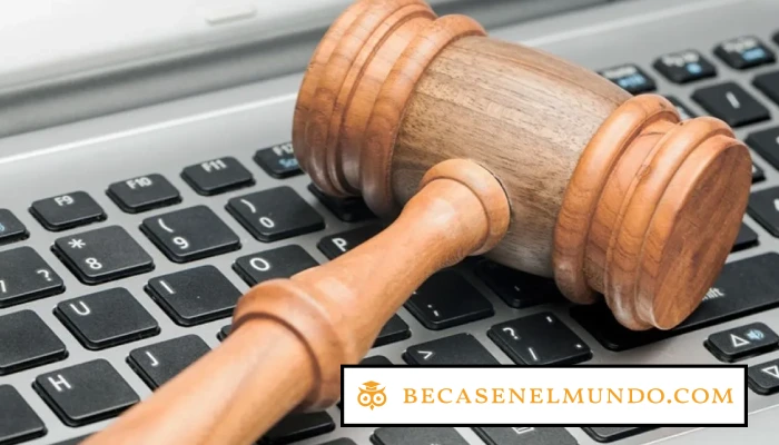 Cómo la educación en derechos digitales fortalece la privacidad en línea en el Perú