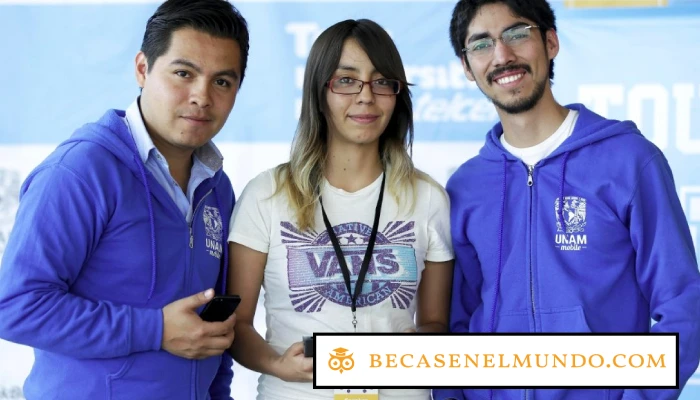 Obtener una beca universitaria con Telmex: cómo aprovechar al máximo el programa