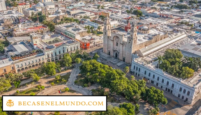 Universidades Privadas en Mérida: Los Mejores Planes de Estudio en esta Ciudad Mexicana