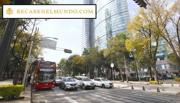 Universidades Públicas en la CDMX: Descubre las Mejores Opciones en la Capital de México