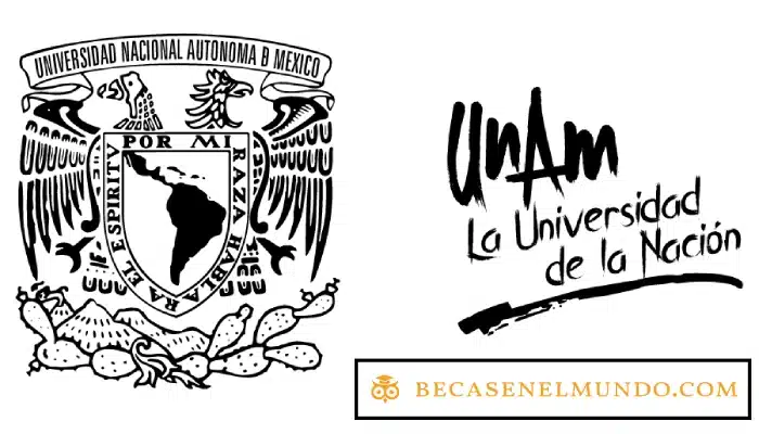 Maestrías en Línea en la UNAM | Tu Desarrollo Profesional desde cualquier lugar