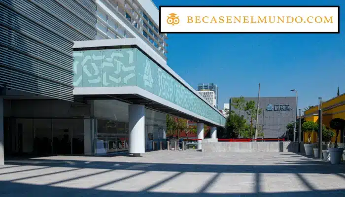 Maestrías La Salle, México - Impulsa tu Carrera con Educación de Calidad
