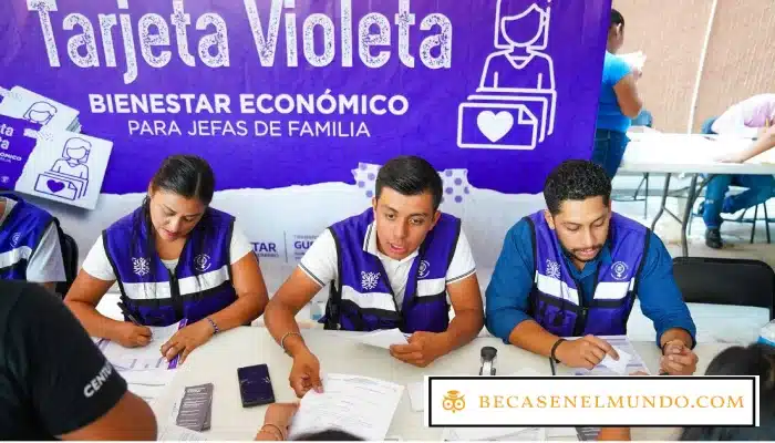 Programa de la Tarjeta Violeta: Apoyo Económico para Mujeres en Vulnerabilidad