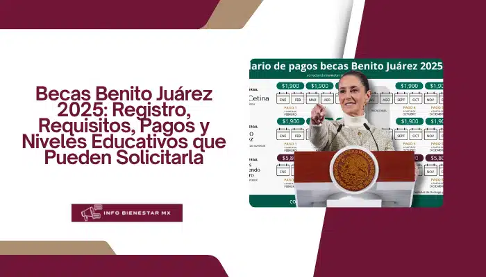 Becas Benito Juárez 2025: Registro, Requisitos, Pagos y Niveles Educativos que Pueden Solicitarla