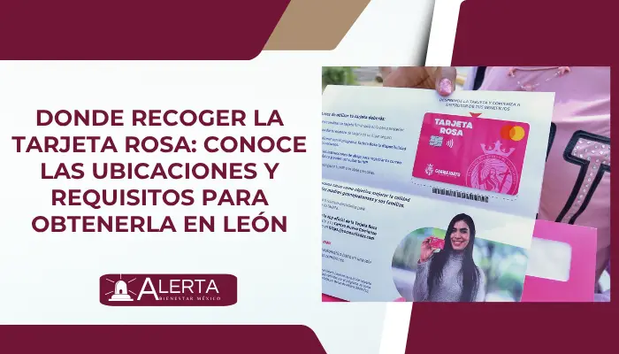 Donde recoger la Tarjeta Rosa: Conoce las ubicaciones y requisitos para obtenerla en León